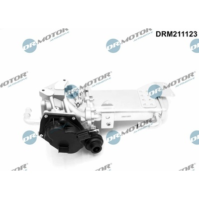 DR.MOTOR AUTOMOTIVE AGR - Ventil DRM211123