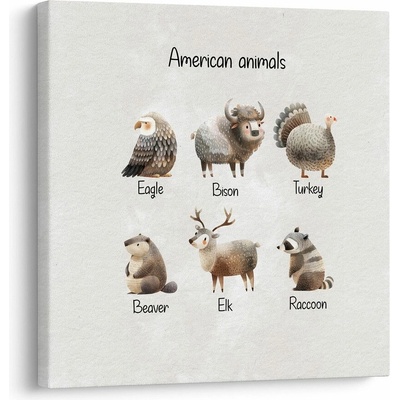 Obraz ilustrácia amerických zvierat