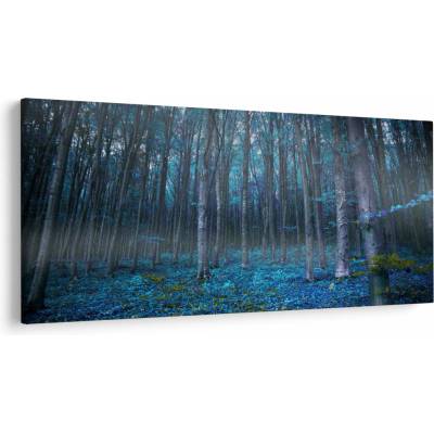 Obraz - Magický les, jednodielne 250x125 cm