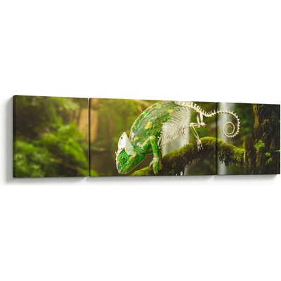 Obraz chameleóna, trojdielne 170x50 cm