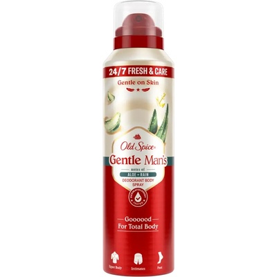 Old Spice Deodorant sprej pro muže Aloe and Rain 140 ml – Hledejceny.cz
