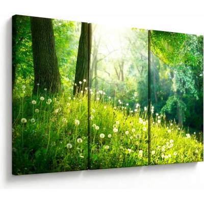 Obraz - Magická lúka plná púpav, trojdielne 120x80 cm