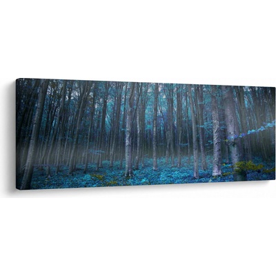 Obraz - Magický les, jednodielne 145x58 cm