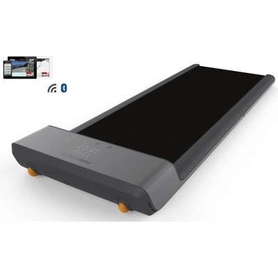 Flow Fitness DTM100i