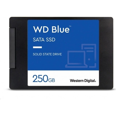 WD Blue SA510 1TB, WDS100T3B0A