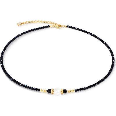 Coeur de Lion 1141/10-1300