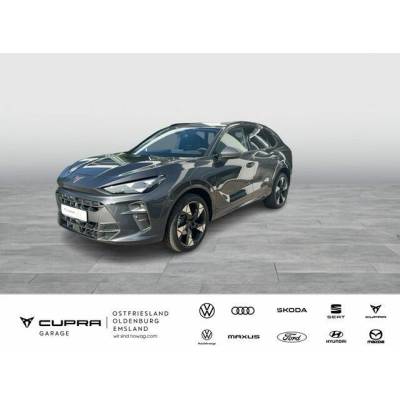 Cupra Terramar 1.5 eTSI DSG 110 kW