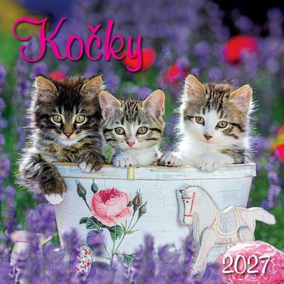 nástěnný KOČKY 2027