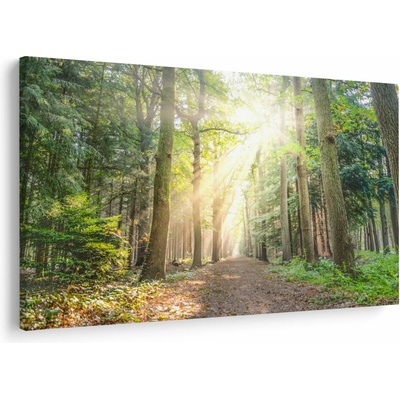 Obraz pěšiny v lese, jednodílný 120x80 cm