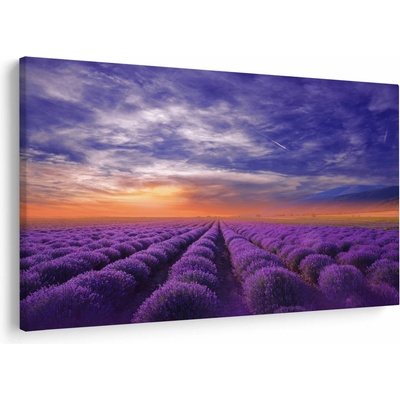 Obraz levandulového pole, jednodílný 150x100 cm