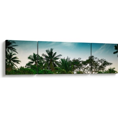 Obraz - palmy, třídílný 170x50 cm