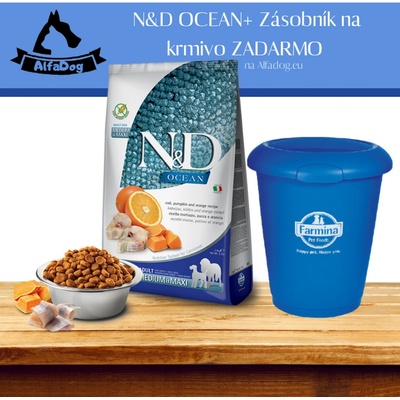 N&D OCEAN PUMPKIN adult medium & maxi codfish & orange 12 kg