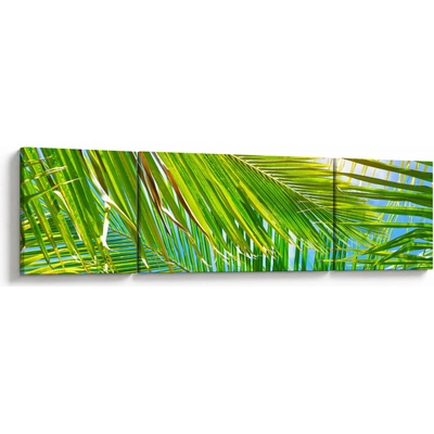 Obraz - Palmové listy, trojdielne 170x50 cm