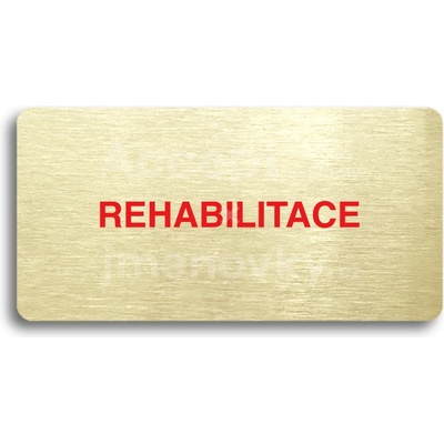 ACCEPT Piktogram REHABILITACE - zlatá tabulka - barevný tisk bez rámečku