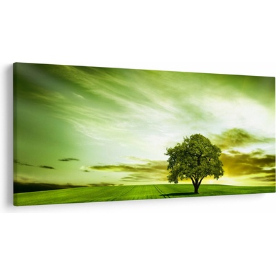 Obraz - Strom života, jednodílný 250x125 cm