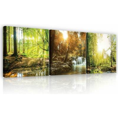Consalnet Obraz na plátně: Lesní potok - set 3ks 25x25cm