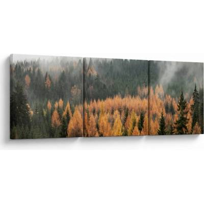 Obraz - Jesenný les, trojdielne 120x40 cm