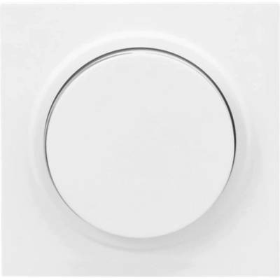 Busch-Jaeger 2CKA006599A3053