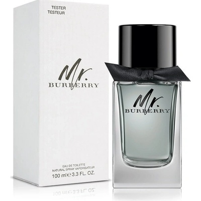 Burberry Mr. Burberry toaletná voda pánska 100 ml tester