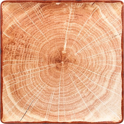 RAK Porcelain Woodart Tanier štvorcový 30 x 30 cm svetlo hnedý