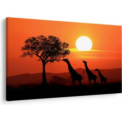 Obraz žiraf při západu slunce, jednodílný 120x80 cm