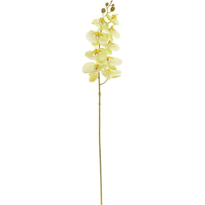 KS ORCHIDEA PHALAENOPSIS BLEDO ZELENÁ 95CM