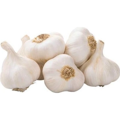 SimonSeed Cesnak sadbový jarný MORADO 250 g 6 hláv
