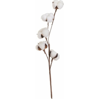 Sušená rastlina (výška 55 cm) Cotton – Casa Selección