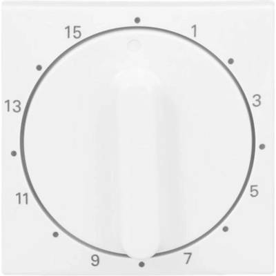 Busch-Jaeger 2CKA001753A0263