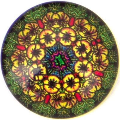 Nalepovací kamen 20 mm Cabochon Varianta: 24