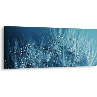Obraz - Kvapky rosy, jednodielne 120x50 cm