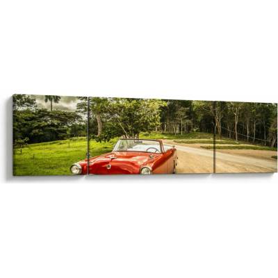 Obraz - auto veterán v přírodě, třídílný 170x50 cm