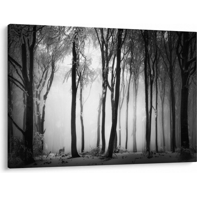Obraz - Vlk v temnom lese, jednodielne 100x70 cm