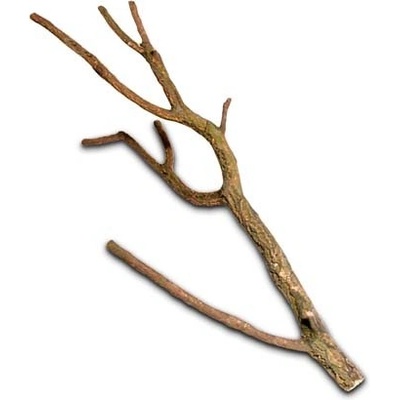 Hobby Korková větev 75-100 cm – Hledejceny.cz