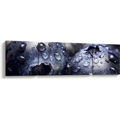 Obraz ovoce s kapkami vody, třídílný 170x50 cm