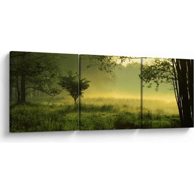 Obraz - Probouzející se les, třídílný 90x30 cm