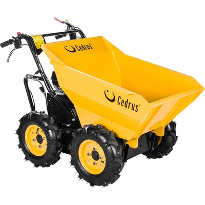 Hahn & Sohn Cedrus TR300