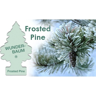 WUNDER-BAUM Frosted Pine