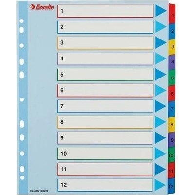 Zesílené rejstříky "Standard", popisovatelná titulní str., mix barev, karton, A4 Maxi, 1-12,