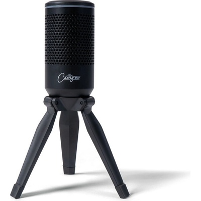 Carry-on Foldable USB Microphone