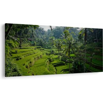 Obraz ryžových terás Tegalalang, Bali, jednodielne 200x100 cm