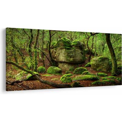 Obraz čarovného lesa, jednodielne 200x100 cm