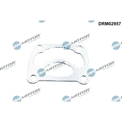 DR.MOTOR AUTOMOTIVE Tesnenie turbodúchadla DRM02957