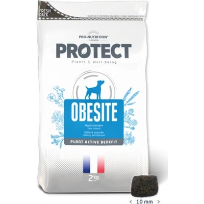Pro-Nutrition Flatazor Protect Obésité 12 kg