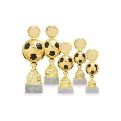 Pohár fotbal PS 22506.4