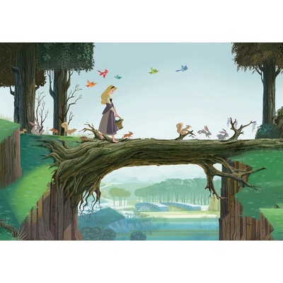 Preinterier FT2227 Fototapeta na stenu Šípková Ruženka vlies 104cm x 70cm