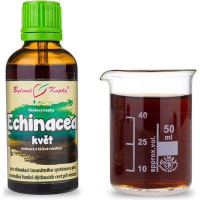 Bylinné kapky Duše rostlin Echinacea purpurea třapatka nachová květ tinktura 50 ml – Hledejceny.cz