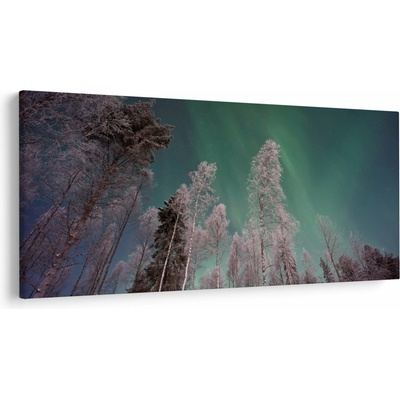 Obraz polární záře nad zmrzlými stromy, jednodílný 250x125 cm