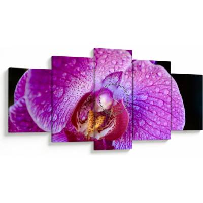 Obraz kvetu orchidey (s hodinami), päťdielne 150x80 cm s hodinami