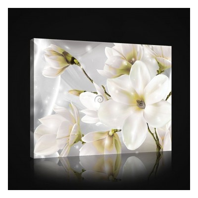 Obraz na plátne obdĺžník - OB0992 - Biele kvety 100cm x 75cm - O1